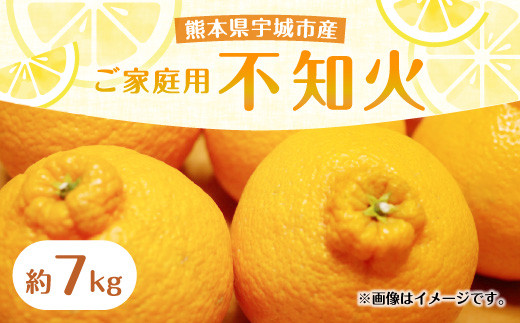 熊本県宇城市産 不知火 約7kg ご家庭用 高橋果樹園 果物 柑橘