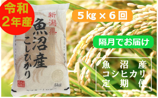 魚沼産コシヒカリ定期便 5kg 6回 隔月お届け 小千谷米穀 新潟県小千谷市 ふるさと納税 ふるさとチョイス