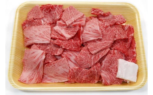 飛騨市産 5等級飛騨牛 盛り合わせパック ごちゃまぜ ミックス 500g ギフト 贈答用 2125298 - 岐阜県飛騨市