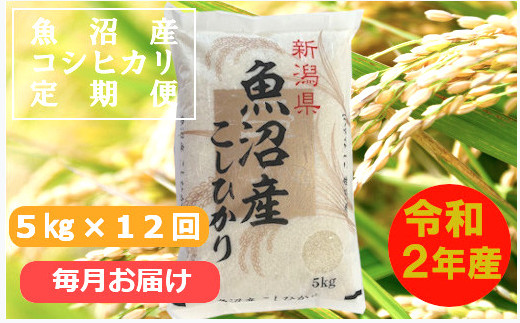 魚沼産コシヒカリ定期便 5kg 12回 毎月お届け 小千谷米穀 新潟県小千谷市 ふるさと納税 ふるさとチョイス