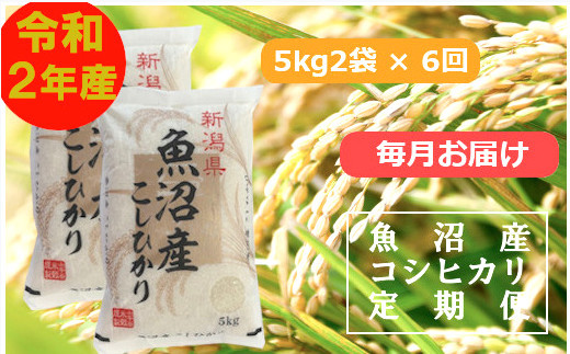 日本一のブランド米「魚沼産コシヒカリ」定期便