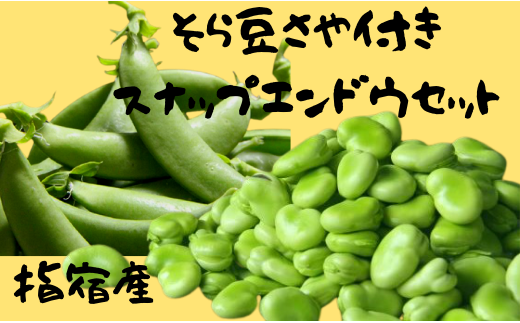 【2025年1月中旬～発送】さや付きそら豆約1.5kgとスナップエンドウ約1kgのセット(アグリスタイル/A-207) そらまめ ソラマメ えんどう 旬 野菜 サラダ 冬 指宿 鹿児島 497882 - 鹿児島県指宿市