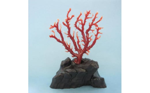 珊瑚職人館の珊瑚の原木・拝見・置物（g25）