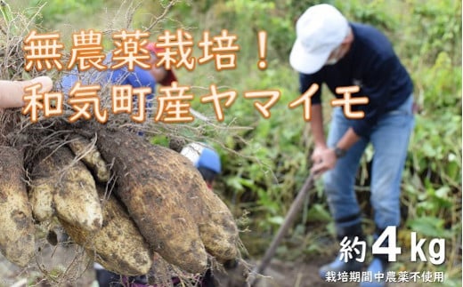 AC-29　和気町産無農薬栽培　山芋4kg 1566971 - 岡山県和気町