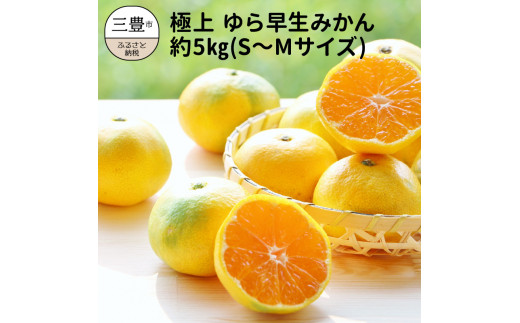 三豊市産 極上 ゆら早生みかん 約5ｋｇ S Mサイズ 香川県三豊市 ふるさと納税 ふるさとチョイス