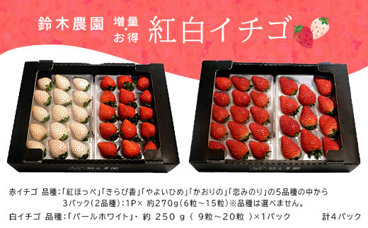 １０６０ 掛川産 赤 白イチゴ ４p 赤イチゴ ３p 白イチゴ １p 令和４年３月２５日から順次発送 鈴木農園 静岡県掛川市 ふるさと納税 ふるさとチョイス
