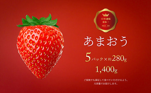 福岡県産 あまおう 約280g 5パック 計1 400g 大容量 福岡県久留米市 ふるさと納税 ふるさとチョイス