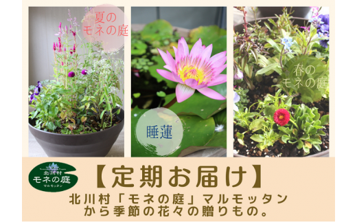 [定期お届け]北川村｢モネの庭｣から季節の花々の贈りもの。