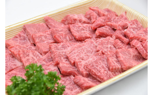 飛騨牛 A5 等級 焼肉 用 400g（ モモ肉 ） | 肉のかた山 M10S58