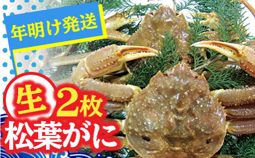 6 松葉がに 生 2枚 年明け配送 着日指定不可 鳥取県琴浦町 ふるさと納税 ふるさとチョイス