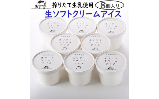 森の駅ネバーランドで1日最高800個売れた!ソフトクリームをアイスにしました