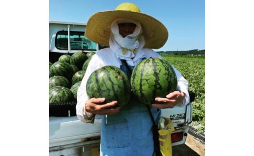 味きらら 丸福すいか1玉 8kg以上 石川県志賀町 ふるさと納税 ふるさとチョイス