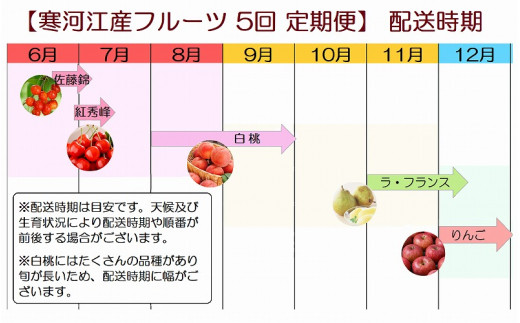 果物王国 山形 さがえ産フルーツ5回定期便 至福のフルーツセット 糖度保証付き入り 2021年産 先行予約 050 B04 山形県寒河江市 ふるさと納税 ふるさとチョイス