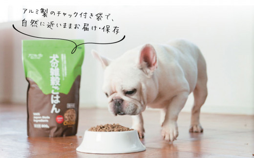 Dg4 犬の雑穀ごはん 機能性フィッシュ 熊本県玉名市 ふるさと納税 ふるさとチョイス