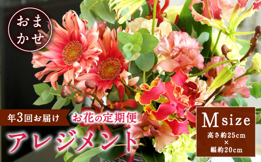 年3回 お花の定期便 アレンジメント Mサイズ 花 インテリア 宮崎県えびの市 ふるさと納税 ふるさとチョイス