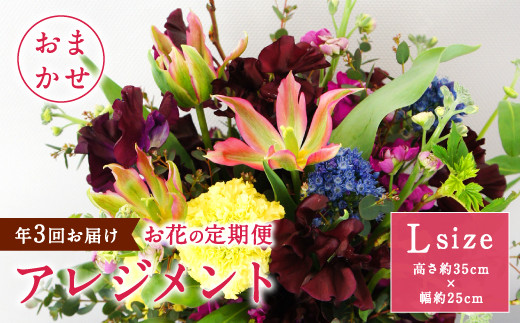 年3回 お花の定期便 アレンジメント Lサイズ 花 インテリア 宮崎県えびの市 ふるさと納税 ふるさとチョイス