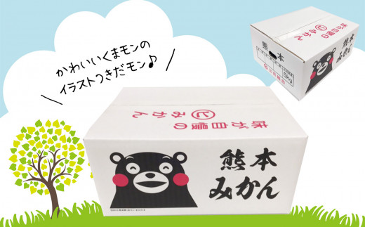 Ak5 早生みかん 無選別 5kg 2箱 熊本県玉名市 ふるさと納税 ふるさとチョイス