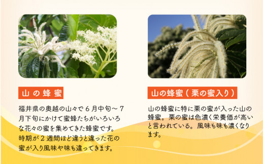 福井県産はちみつ 4種 食べ比べセット とち 山の蜂蜜 山の蜂蜜 栗の蜜入り からす山椒 A 6705 福井県坂井市 ふるさと納税 ふるさとチョイス