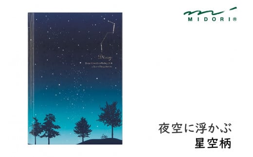 D10b ミドリ ページをめくるのが楽しい 自由に書ける日記 星空柄 千葉県流山市 ふるさと納税 ふるさとチョイス