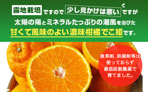 訳あり 不知火 でこ姫 約5kg（約18～25玉）吉田レモニー 柑橘 フルーツ 果物