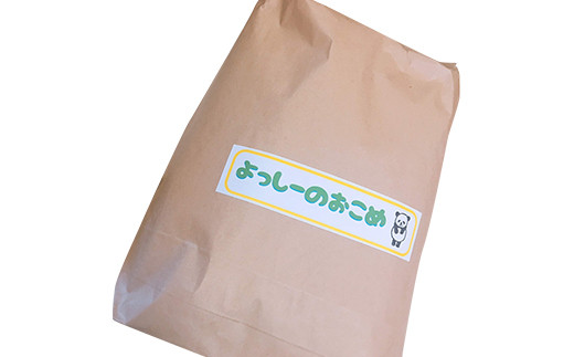 熊本 益城町産 ヒノヒカリ 10kg お米