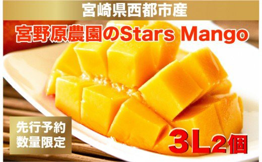 今が旬！【度13度以上】厳選したスターズマンゴー3L×2個 宮野原農園の完熟マンゴー<2-77>　
