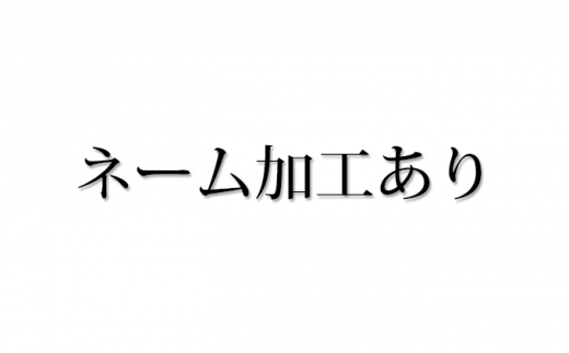 [№5695-7016]【島田の逸品】1104木こりの積木ランド L （ネームあり） 252875 - 静岡県島田市