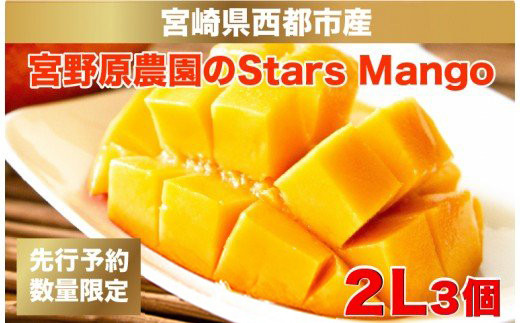 今が旬！【糖度13度以上】厳選したスターズマンゴー2L×3個 宮野原農園の完熟マンゴー＜2-78＞