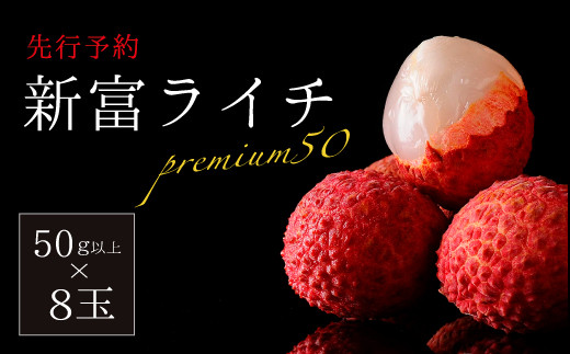 先行予約 希少 国産 新富ライチpremium50 50g以上 8玉 C52 宮崎県新富町 ふるさと納税 ふるさとチョイス