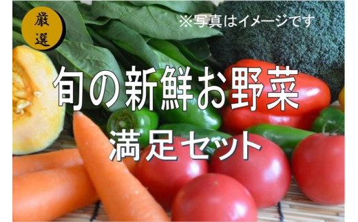 No.1001　大人気！旬の新鮮お野菜　満足セット（詰め合わせ）