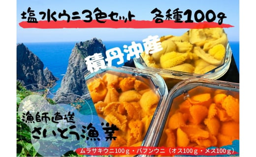 21年夏予約発送 漁師直送 積丹沖産 塩水生うに３色セット 無添加 北海道積丹町 ふるさと納税 ふるさとチョイス