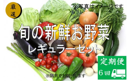 旬の新鮮野菜であなたの健康づくりをサポートします