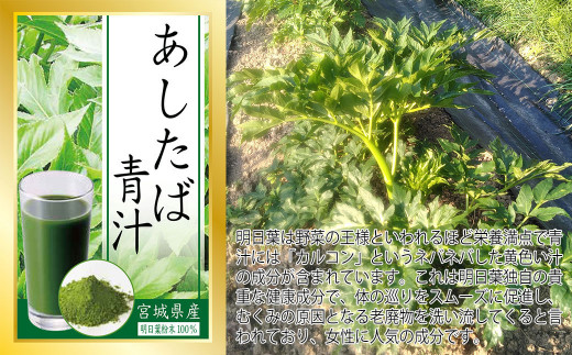 ひげにんにく 25本 とあしたば青汁パウダー 100g セット 宮城県石巻市 ふるさと納税 ふるさとチョイス