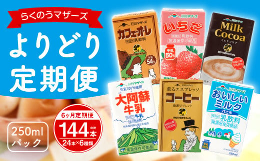 12ヶ月定期便 よりどり定期便 250ml 24本 6回 6種類 熊本県益城町 ふるさと納税 ふるさとチョイス