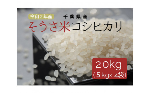 No 2 そうさ米コシヒカリ kg お米 精米 白米 ごはん こしひかり 千葉県 特産品 千葉県匝瑳市 ふるさと納税 ふるさと チョイス