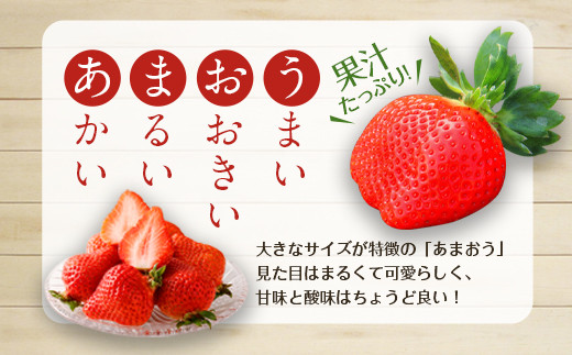 いちご あまおう 約2kg 4パック 2 1パック約270g 苺 イチゴ 福岡県広川町 ふるさと納税 ふるさとチョイス