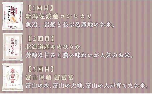 全国のお米食べ比べ 2kg 6回定期便 安心安全なヤマトライス H074 229 愛知県碧南市 ふるさと納税 ふるさとチョイス