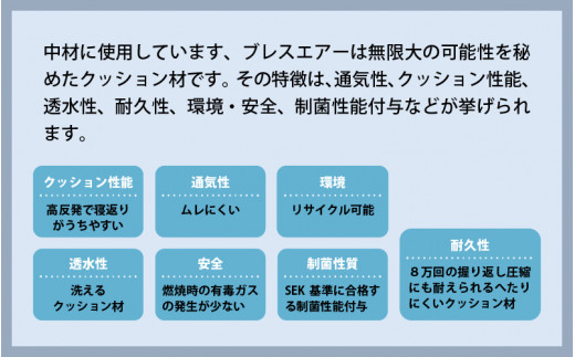 0 C001 ブレスエアー座布団 2枚組 福井県敦賀市 ふるさと納税 ふるさとチョイス