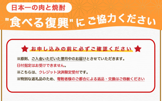 コロナに負けない 元気モリモリ福袋 宮崎牛切り落としセット 鉄板焼き用サーロイン2枚付き Ae 2501 宮崎県都城市 ふるさと納税 ふるさとチョイス