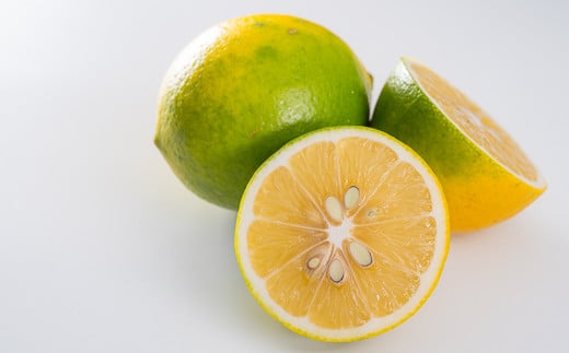 レモンは、三重県紀宝町産の果汁たっぷり『マイヤーレモン』を使用！