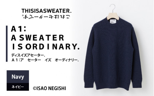 THISISASWEATER. A1:A SWEATER IS ORDINARY. ネイビー F20A-771 - 山形
