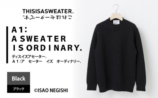 THISISASWEATER. A1:A SWEATER IS ORDINARY. ブラック F20A