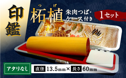 印鑑 柘植 朱肉つば付きケース付き 直径13.5mm×長さ60mm アタリなし