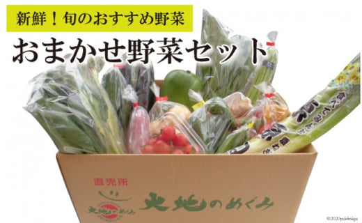 おまかせ野菜セット 長崎県南島原市 ふるさと納税 ふるさとチョイス