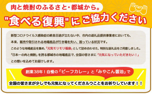 コロナに負けない 元気モリモリ福袋 都城産厳選ビーフカレー10食セット みやこん醤油付き 2702 宮崎県都城市 ふるさと納税 ふるさとチョイス