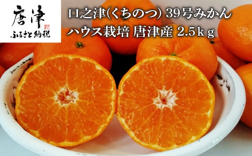 予約受付 口之津 くちのつ 39号みかん ハウス栽培 唐津産 2 5kg 令和4年1月下旬発送 佐賀県唐津市 ふるさと納税 ふるさとチョイス