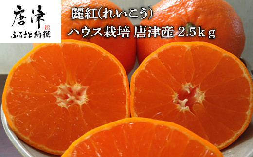 予約受付 麗紅 れいこう ハウス栽培 唐津産 2 5kg 令和4年1月下旬発送 佐賀県唐津市 ふるさと納税 ふるさとチョイス