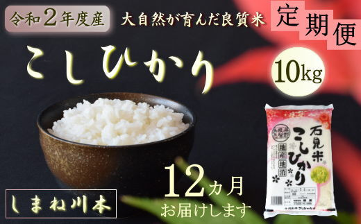 令和2年産 お米定期便 12ヵ月 しまね川本 コシヒカリ 10kg 計1kg 島根県川本町 ふるさと納税 ふるさと チョイス