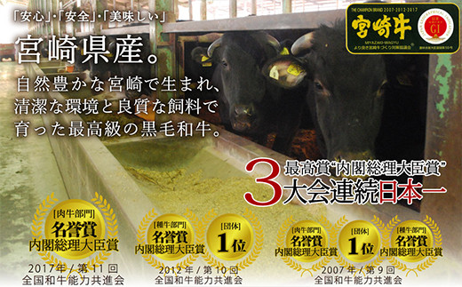 S-6 宮崎牛 焼肉セット (ウデ、バラ、モモ) 450g 万能だれ付き