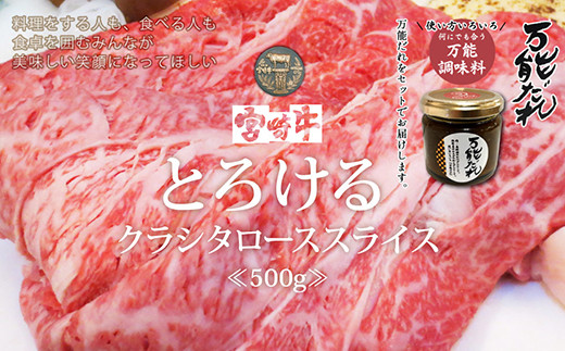 S 8 宮崎牛 クラシタローススライス500g 万能だれ付き 宮崎県高千穂町 ふるさと納税 ふるさとチョイス